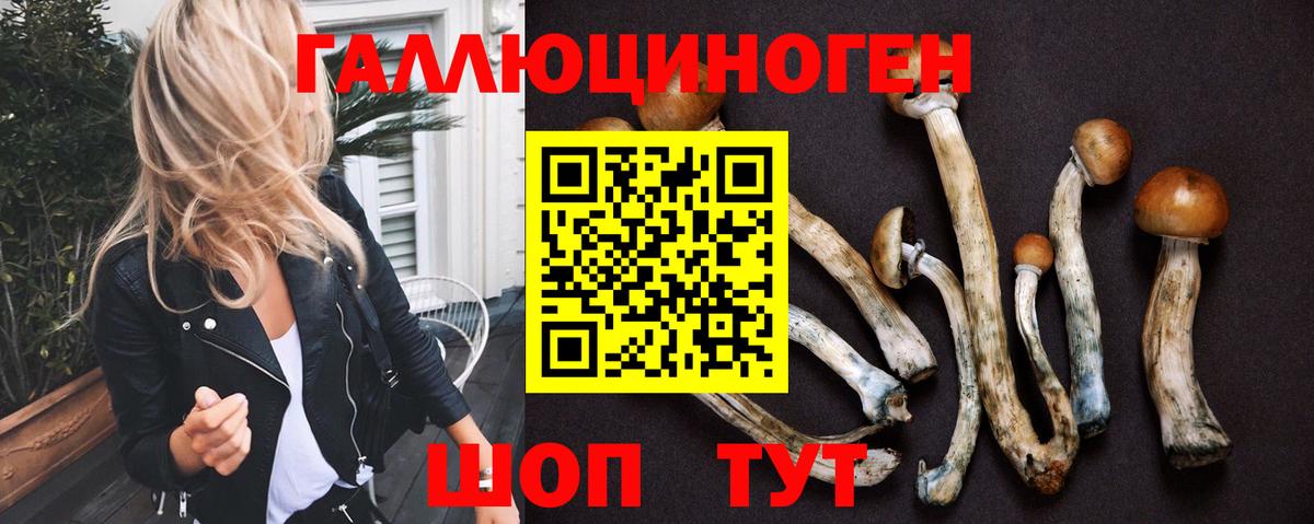 Ставрополь  Галлюциногенные грибы Magic Shrooms  Псилоцибиновые грибы Psilocybine cubensis  Вход с VPN 