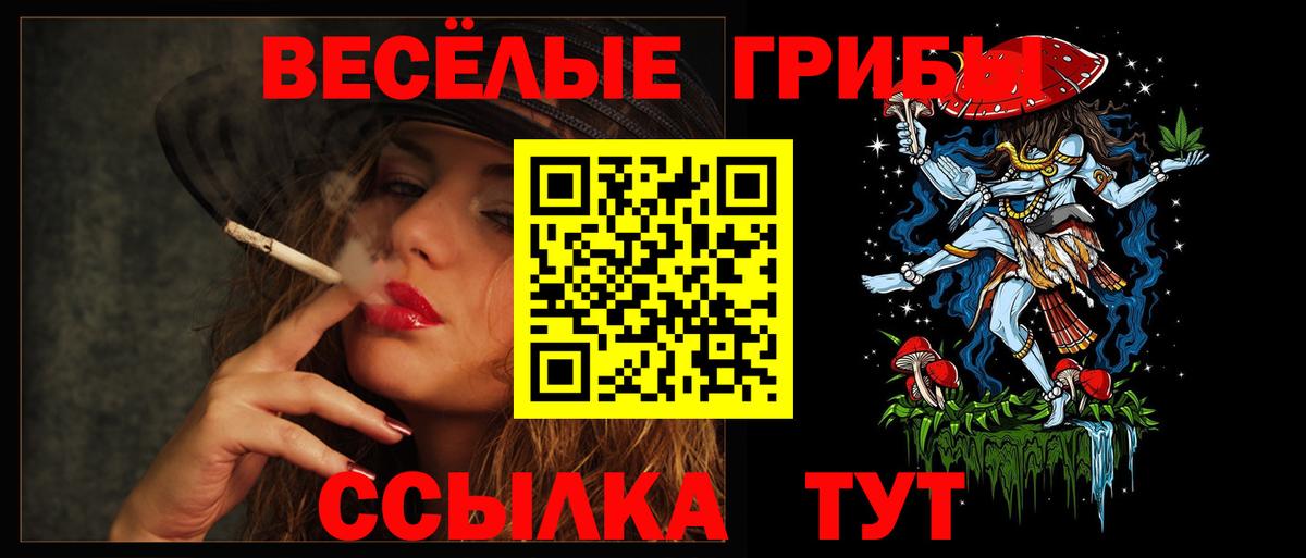 Псилоцибиновые грибы MAGIC MUSHROOMS Ставрополь